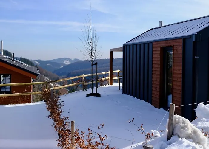 Vakantiehuis Uplandparcs Winterberg